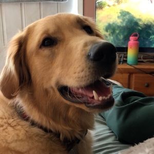 Meet your Posher, Elida